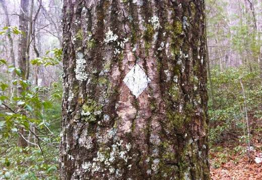 Trail singage
